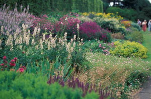 Royal Botanic Garden Edinburgh